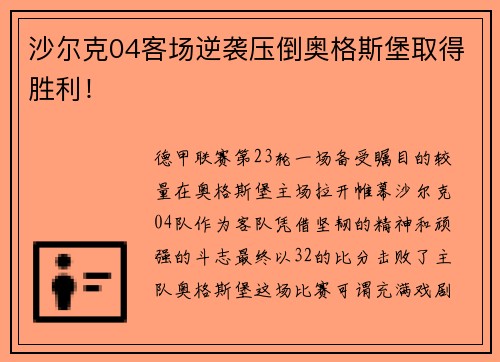 沙尔克04客场逆袭压倒奥格斯堡取得胜利！